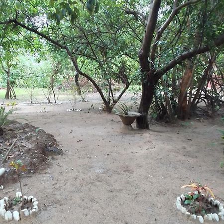 Little Baobab Bed & Breakfast Abeme Exterior photo