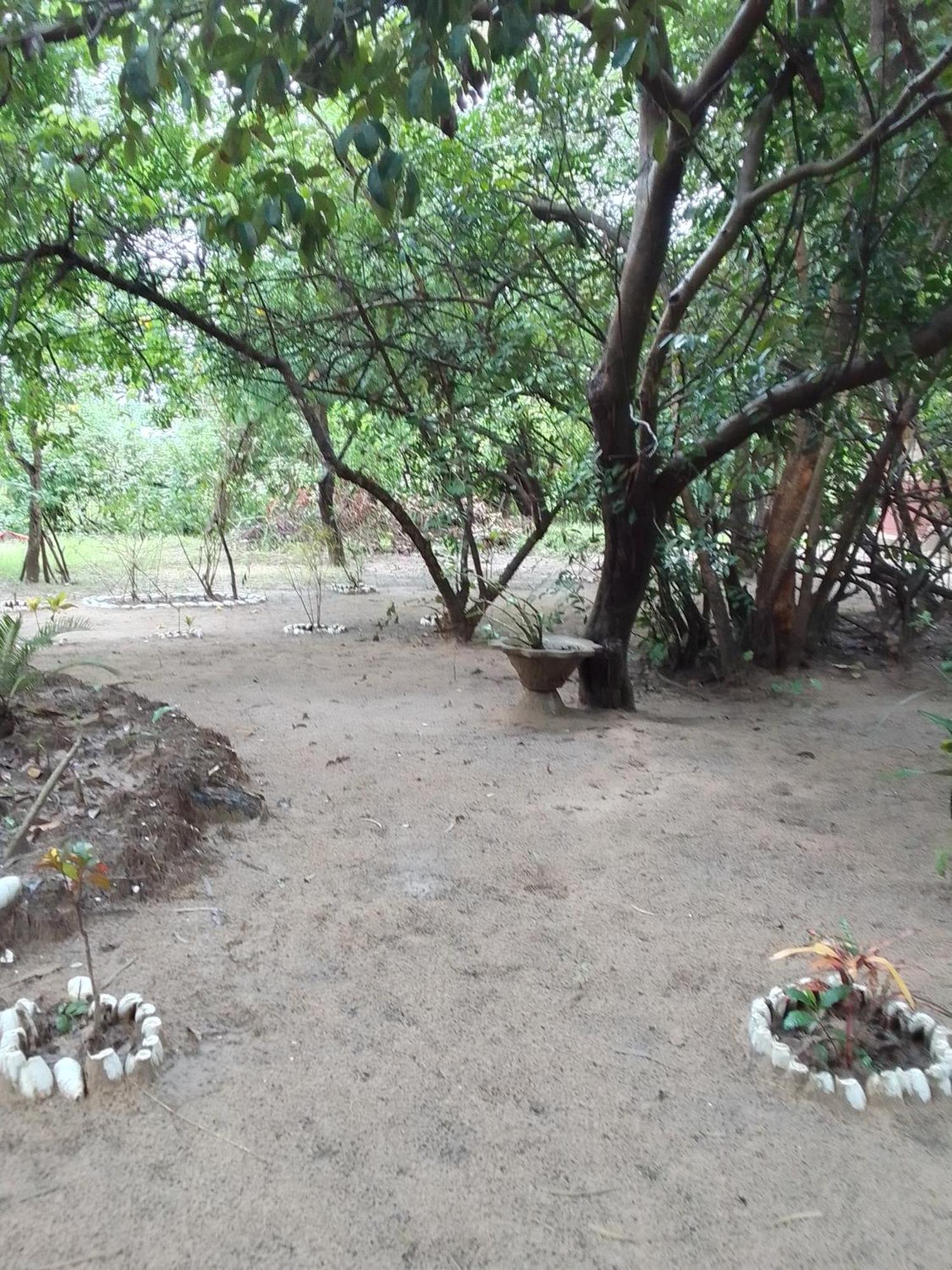 Little Baobab Bed & Breakfast Abeme Exterior photo