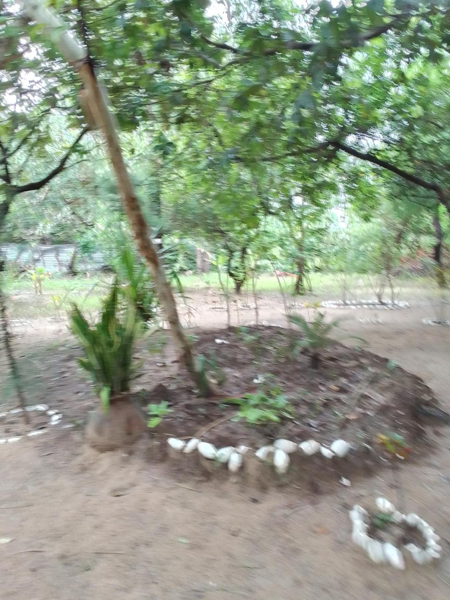 Little Baobab Bed & Breakfast Abeme Exterior photo